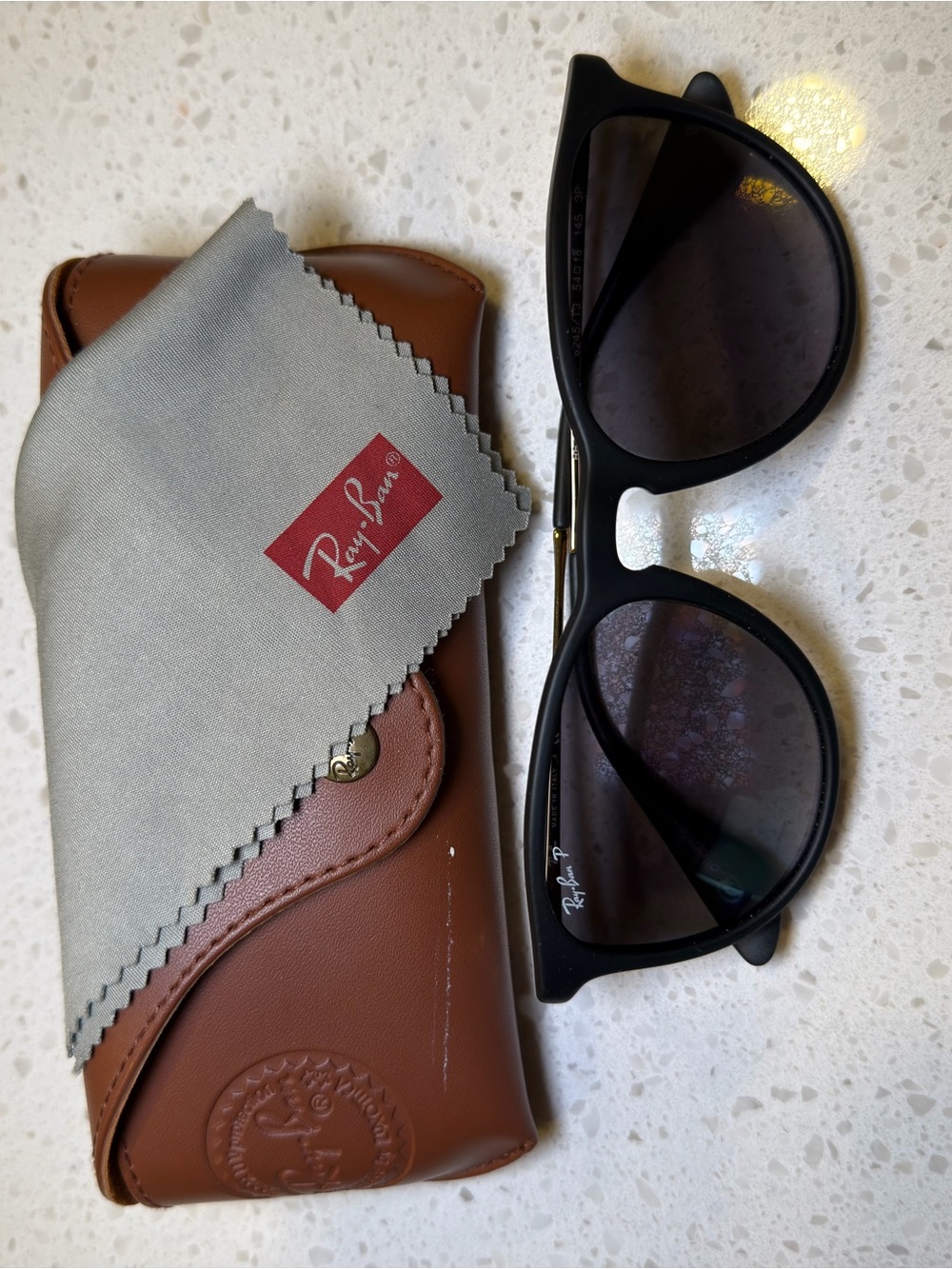 Ray-Ban Black Frame Sunglasses with Brown Case and Gray Cloth